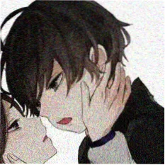 综艺不追完不睡 头像